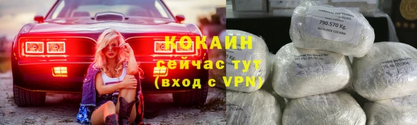 ПСИЛОЦИБИНОВЫЕ ГРИБЫ Михайлов
