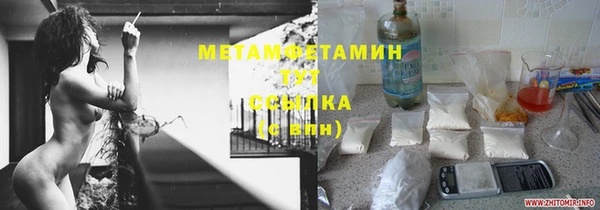 ПСИЛОЦИБИНОВЫЕ ГРИБЫ Михайлов