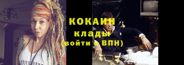 кокс Ельня