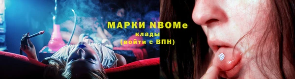 ПСИЛОЦИБИНОВЫЕ ГРИБЫ Михайлов