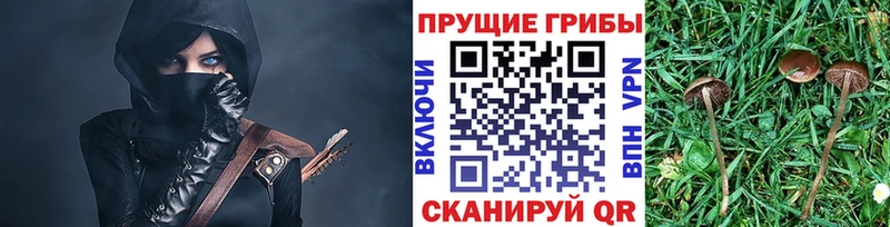 купить  сайты  Неман  гидра tor  Галлюциногенные грибы мицелий 